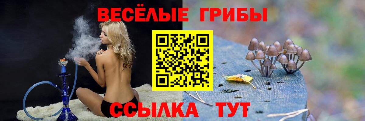 Галлюциногенные грибы прущие грибы  Вход с VPN  Черняховск  Галлюциногенные грибы Magic Shrooms 