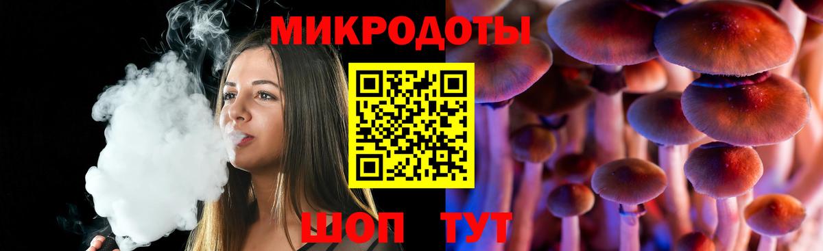 Галлюциногенные грибы Psilocybine cubensis Черняховск